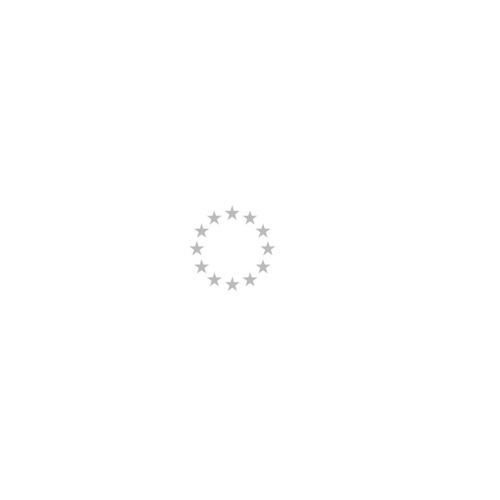 European Commission