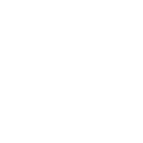 UNDP